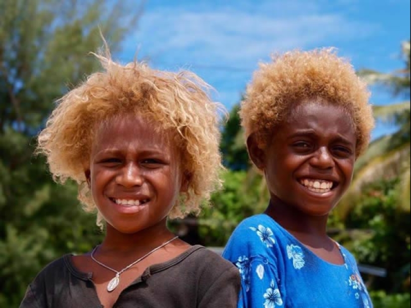 Why are dark-skinned blondes born in the Solomon Islands