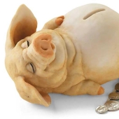 Why are piggy banks made in the shape of pigs?