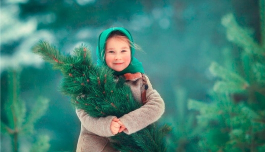 Why buying a live Christmas tree is more useful for the environment than putting an artificial one