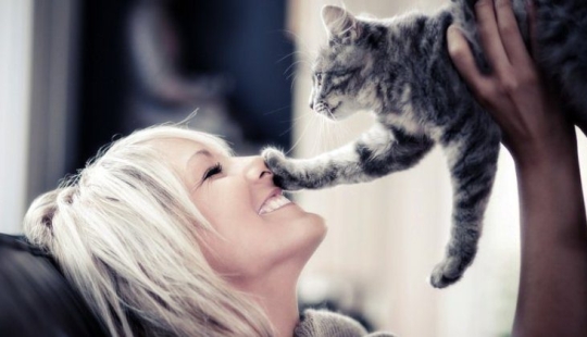 Why Cats Treat Women better than Men