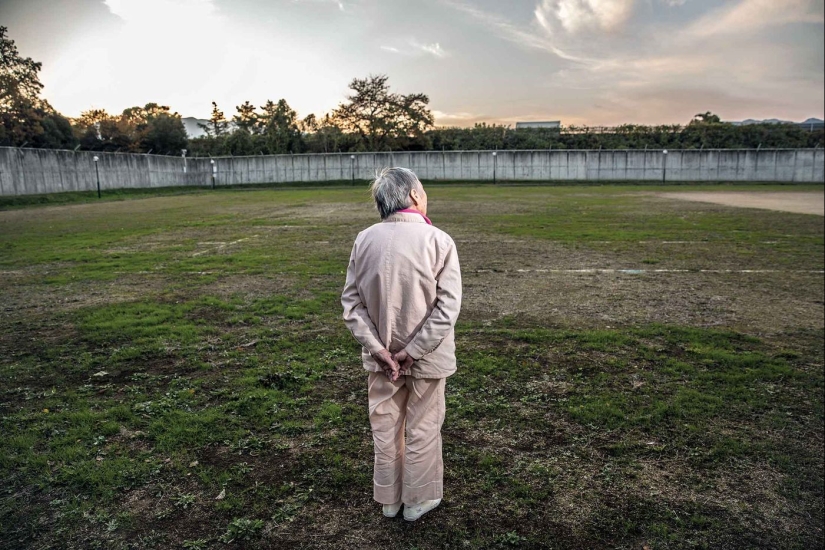 Why do elderly people in Japan intentionally commit minor crimes and want to go to prison