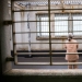 Why do elderly people in Japan intentionally commit minor crimes and want to go to prison