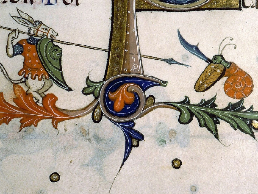 Why do medieval drawings show snails fighting knights?