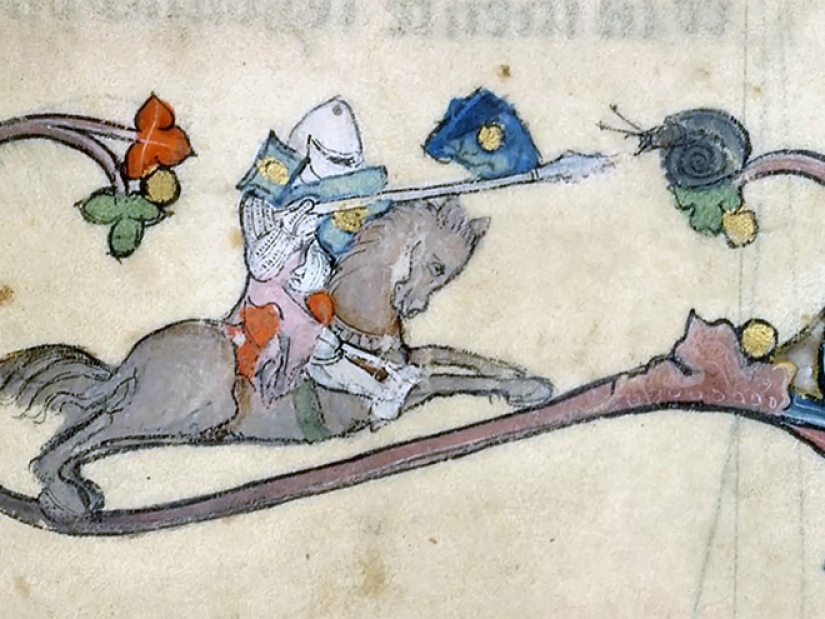 Why do medieval drawings show snails fighting knights?