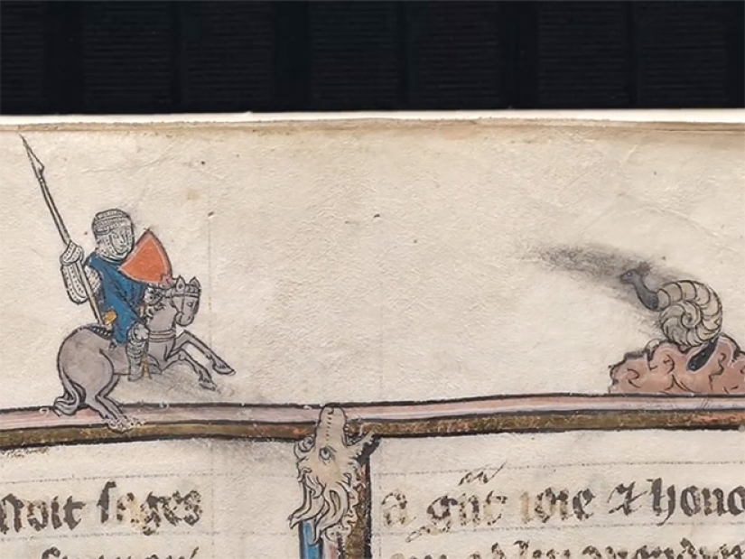 Why do medieval drawings show snails fighting knights?