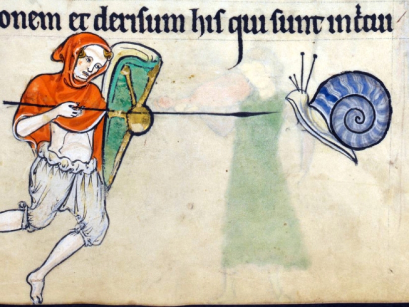 Why do medieval drawings show snails fighting knights?