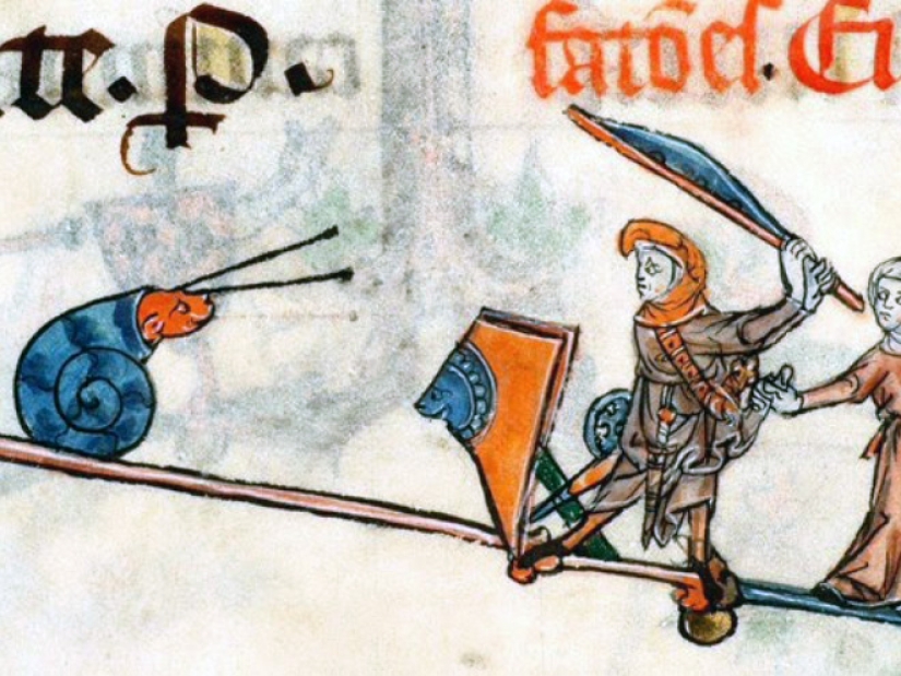 Why do medieval drawings show snails fighting knights?