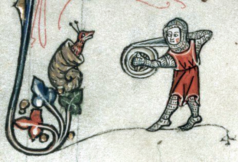 Why do medieval drawings show snails fighting knights?