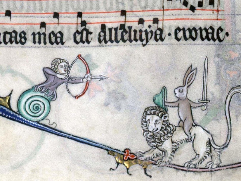 Why do medieval drawings show snails fighting knights?