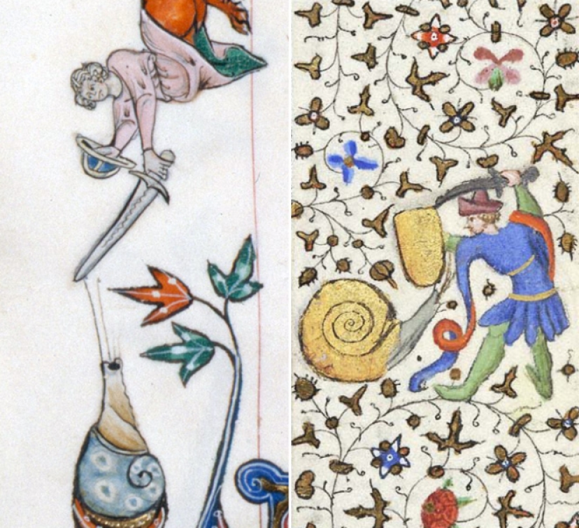 Why do medieval drawings show snails fighting knights?