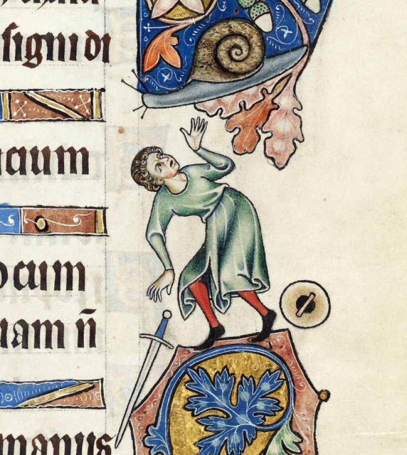 Why do medieval drawings show snails fighting knights?