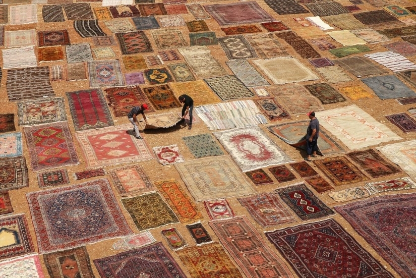Why do the Turks lay out thousands of carpets in the fields?