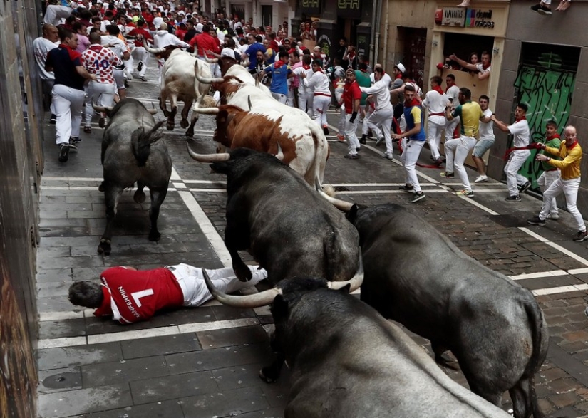 Why people in Spain run from bulls: the history of the San Fermin holiday in Pamplona