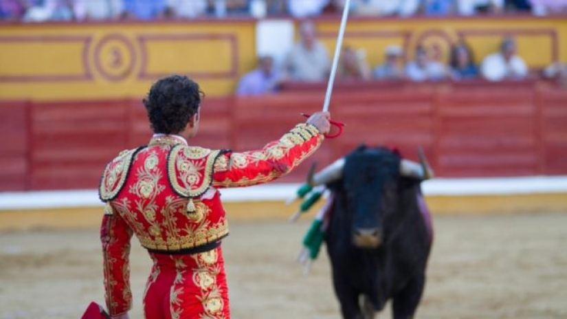 Why people in Spain run from bulls: the history of the San Fermin holiday in Pamplona