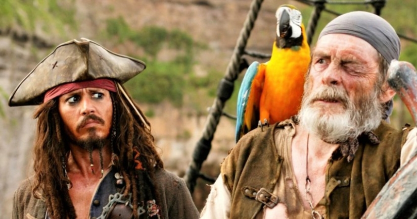 Why pirates are depicted with parrots