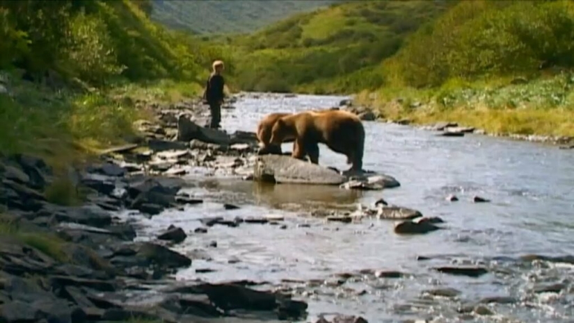Why the bears ate their friend &quot;Grizzly Man&quot; Timothy Treadwell