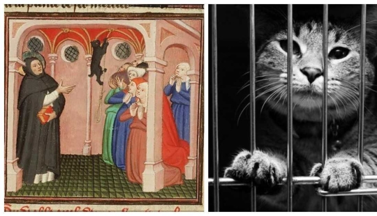 Why the Catholic Church dislikes cats