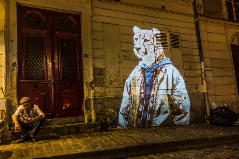 Wild Paris: el elegante safari urbano de Julien Nonnon