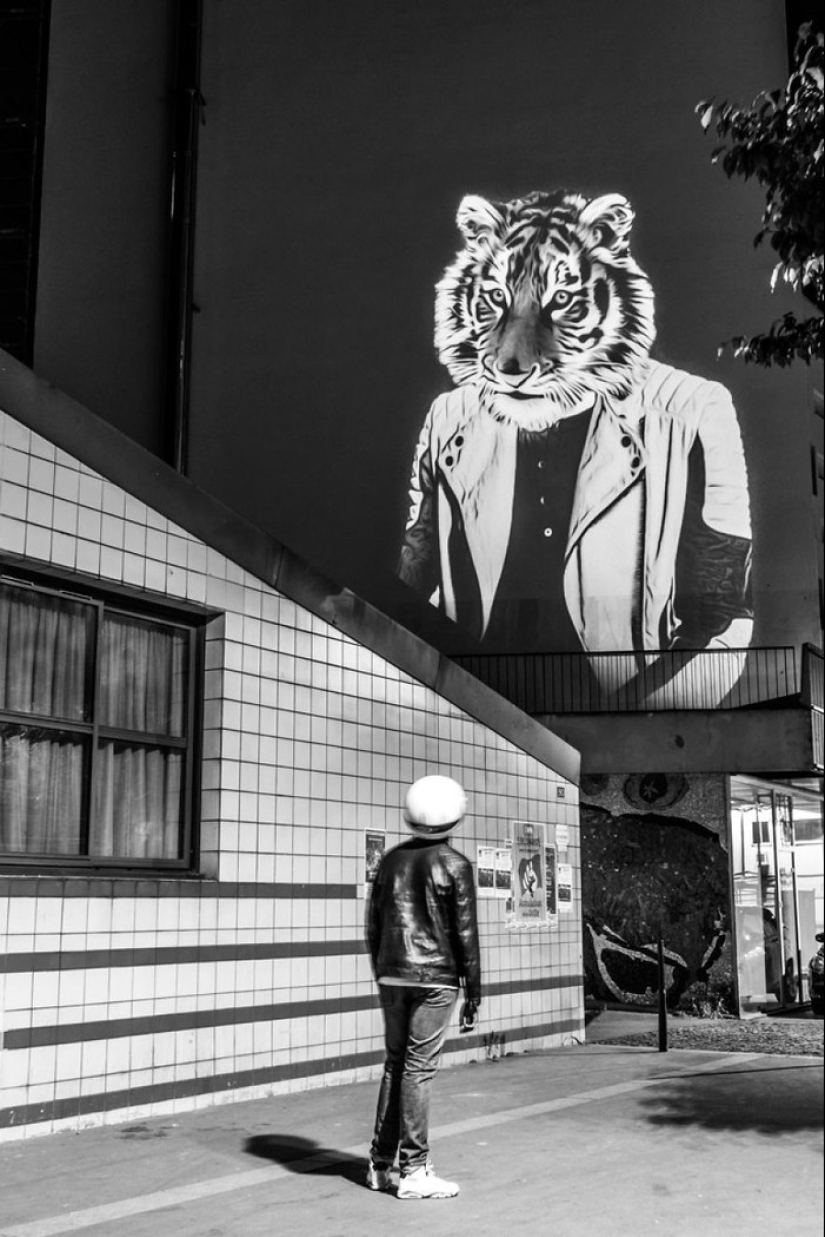 Wild Paris: el elegante safari urbano de Julien Nonnon