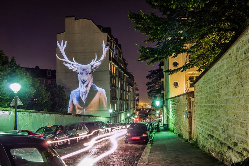 Wild Paris: el elegante safari urbano de Julien Nonnon