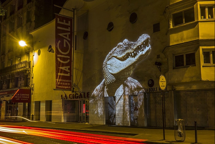 Wild Paris: el elegante safari urbano de Julien Nonnon