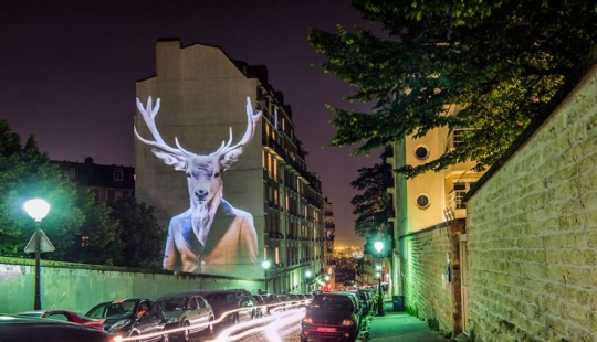 Wild Paris: el elegante safari urbano de Julien Nonnon