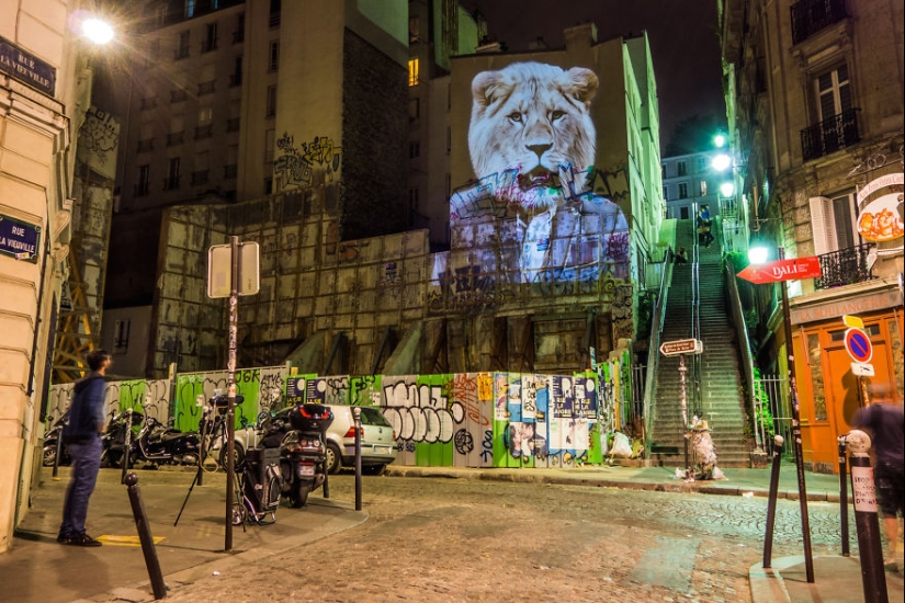 Wild Paris: el elegante safari urbano de Julien Nonnon