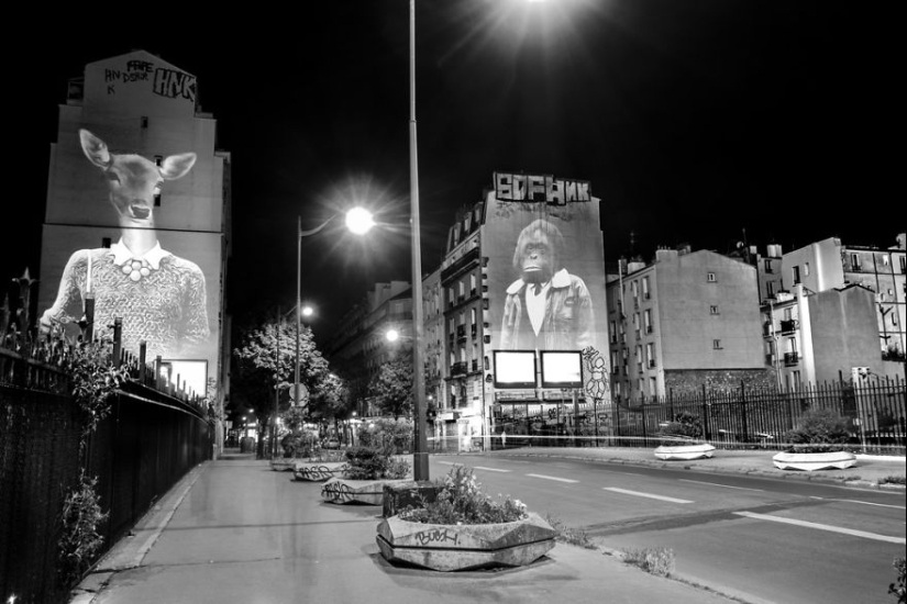 Wild Paris: el elegante safari urbano de Julien Nonnon