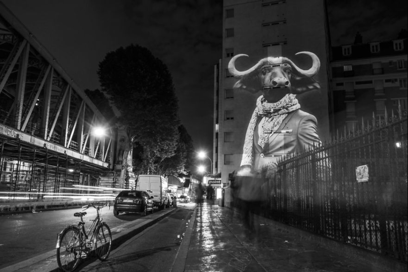 Wild Paris: Julien Nonnon's stylish Urban Safari project