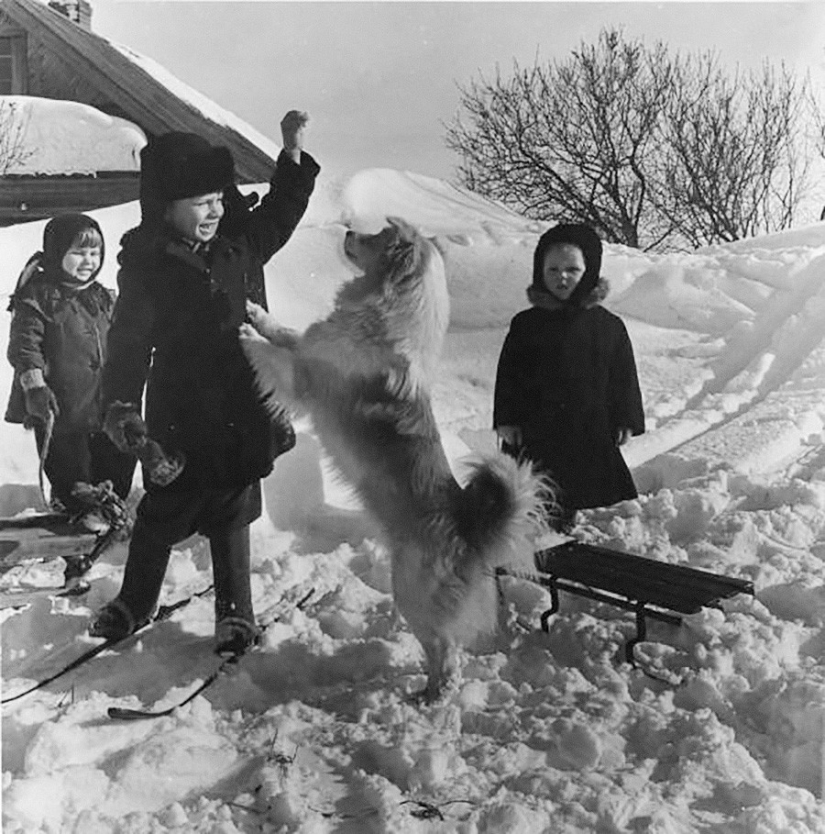 Winter in Soviet retro photos