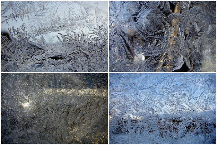 Winter magic on glass