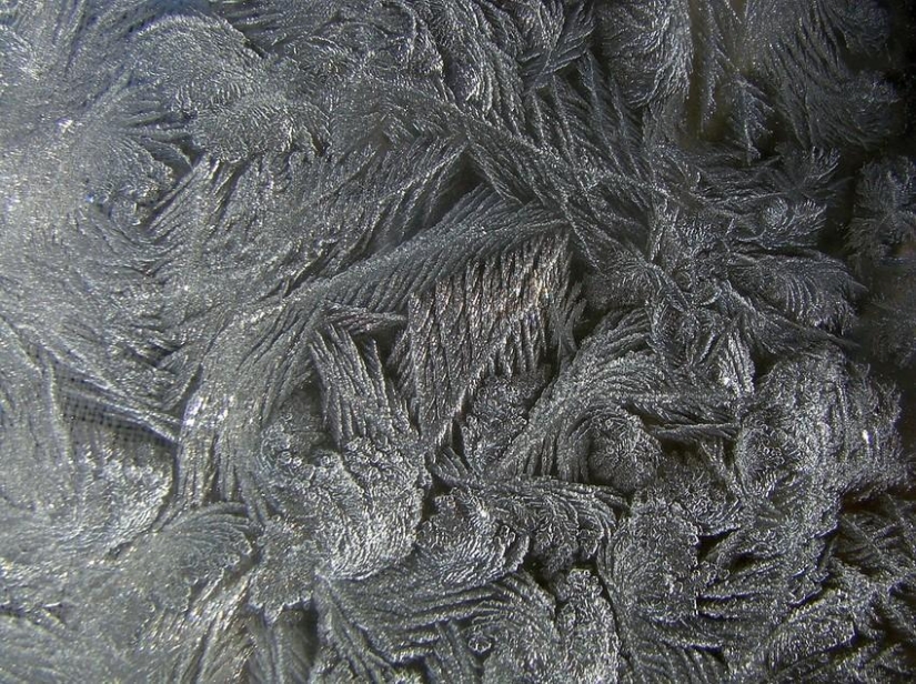 Winter magic on glass