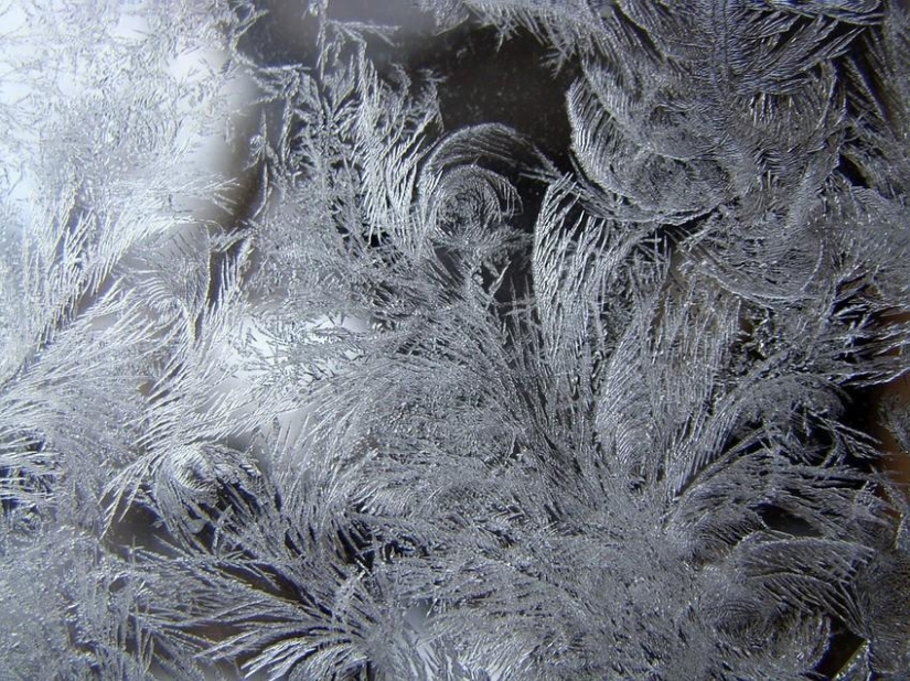 Winter magic on glass