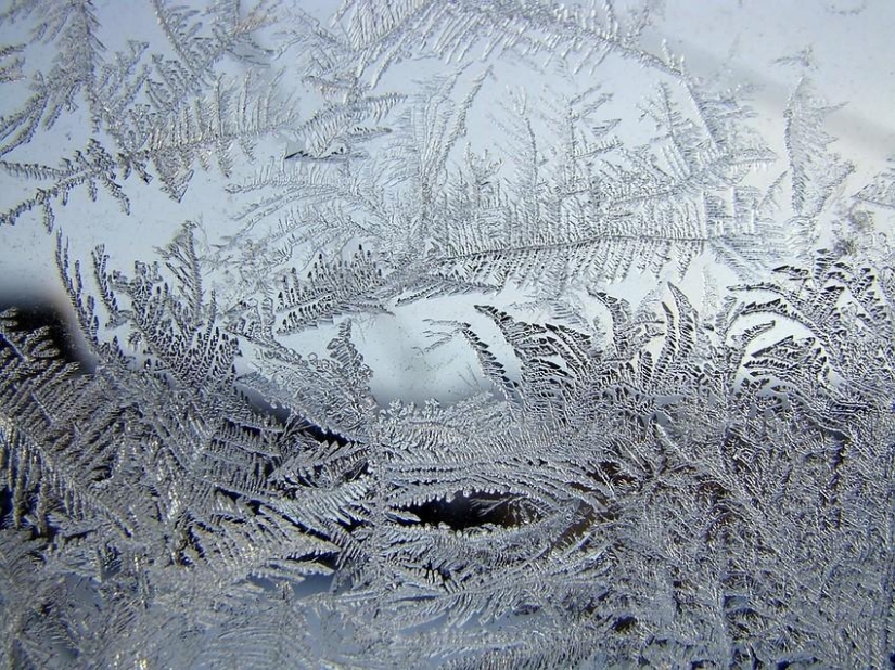 Winter magic on glass