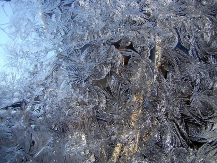 Winter magic on glass