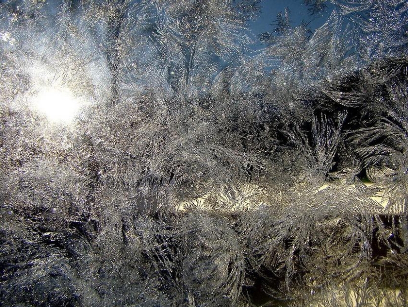 Winter magic on glass