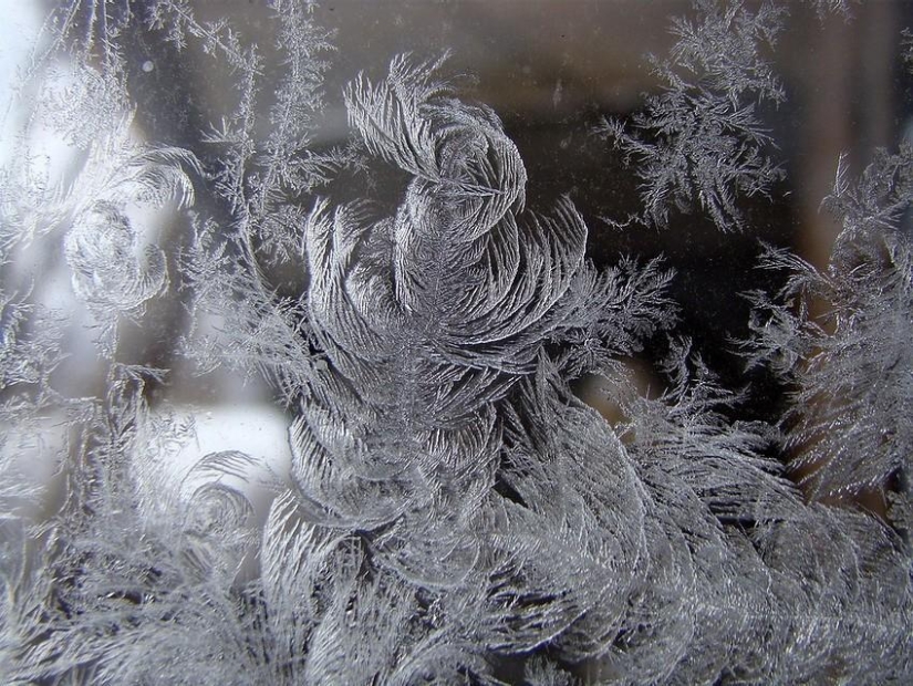 Winter magic on glass