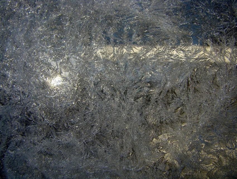 Winter magic on glass