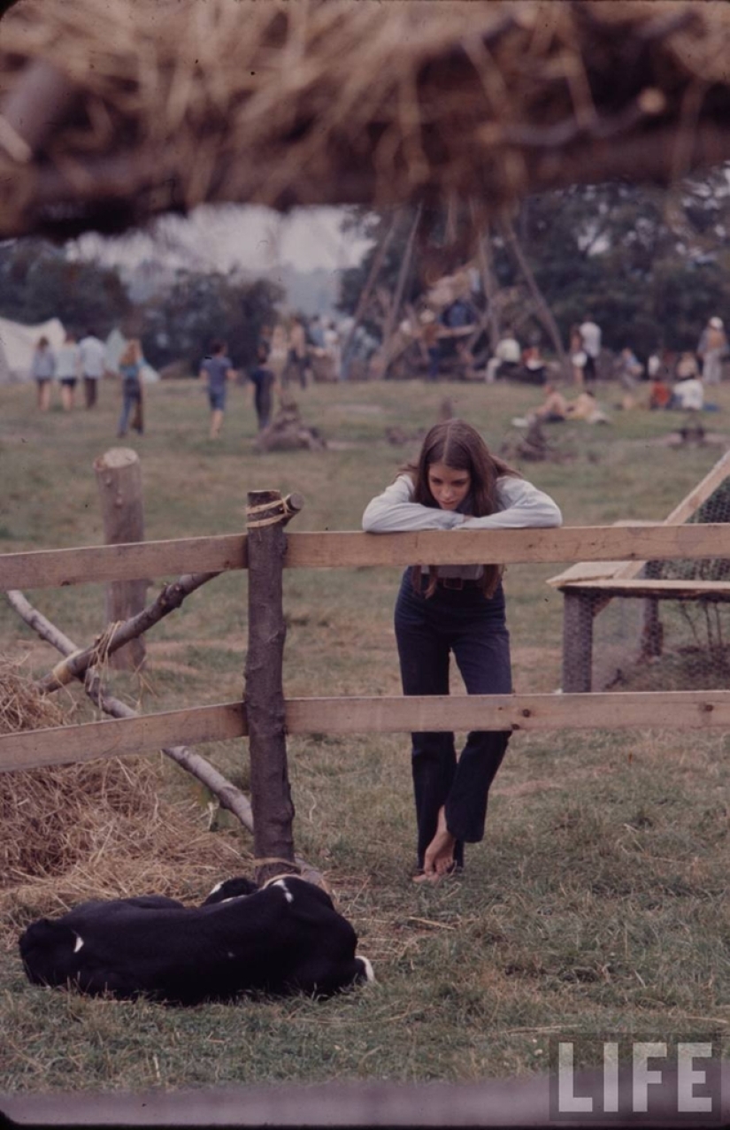 "Woodstock" in 1969 in pictures of LIFE magazine