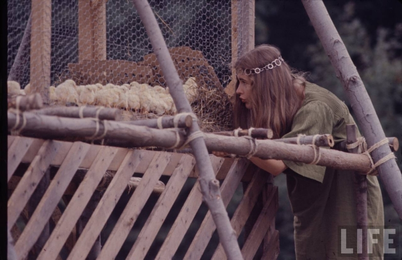 "Woodstock" in 1969 in pictures of LIFE magazine