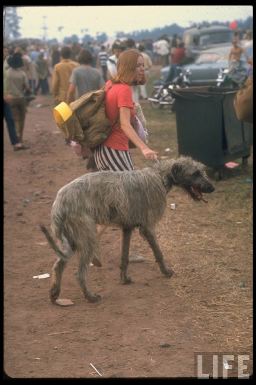 "Woodstock" in 1969 in pictures of LIFE magazine