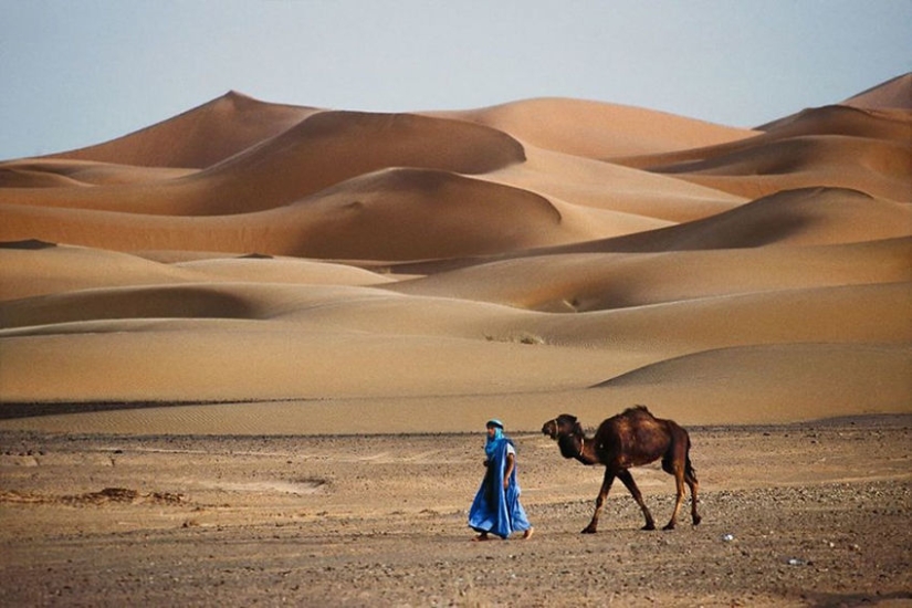 You and I are of the same blood: 35 incredible photos of people and animals from Steve McCurry