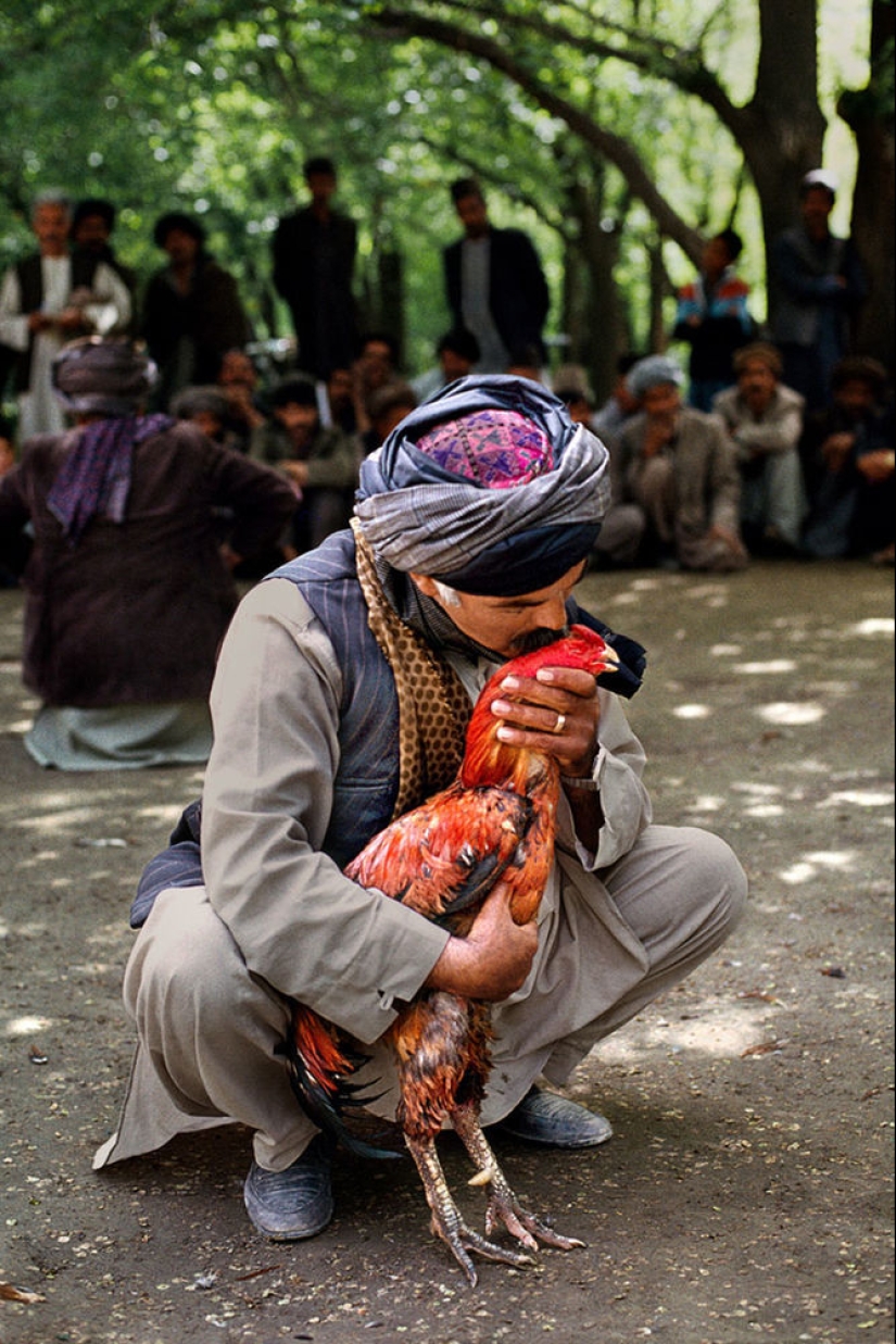 You and I are of the same blood: 35 incredible photos of people and animals from Steve McCurry