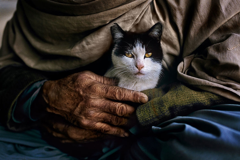 You and I are of the same blood: 35 incredible photos of people and animals from Steve McCurry