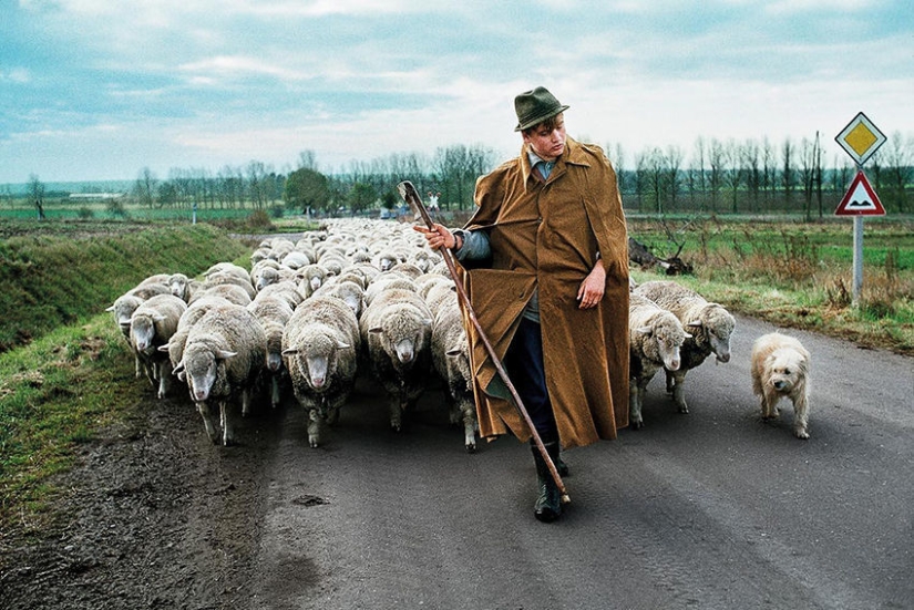 You and I are of the same blood: 35 incredible photos of people and animals from Steve McCurry