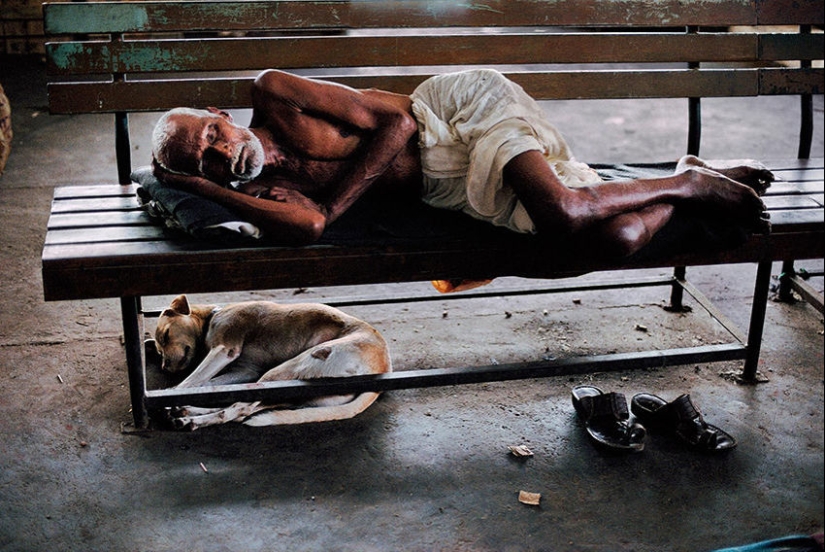 You and I are of the same blood: 35 incredible photos of people and animals from Steve McCurry