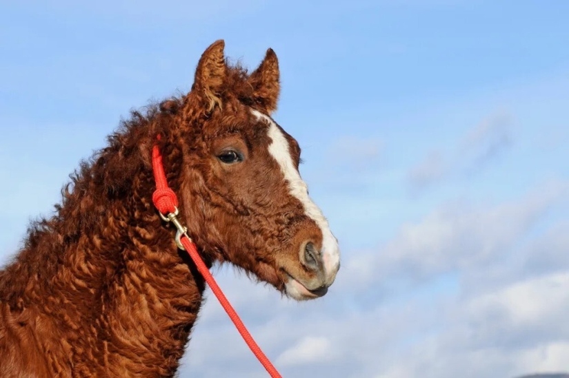 You don't see this every day: 25 amazing photos about everything