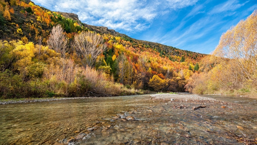 Yuzhny Island is a real paradise on Earth!