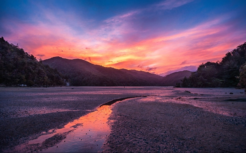 Yuzhny Island is a real paradise on Earth!