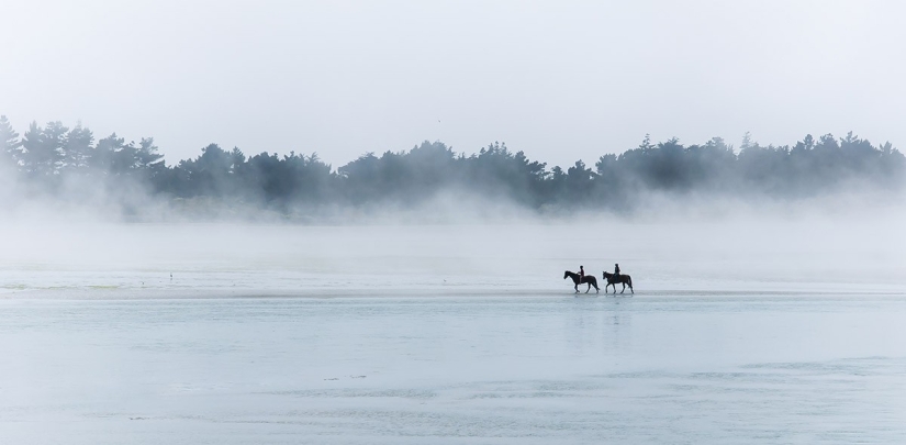 Yuzhny Island is a real paradise on Earth!